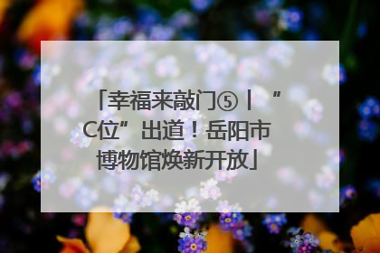 幸福来敲门⑤丨“C位”出道！岳阳市博物馆焕新开放
