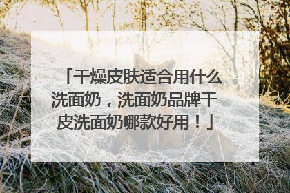干燥皮肤适合用什么洗面奶，洗面奶品牌干皮洗面奶哪款好用！