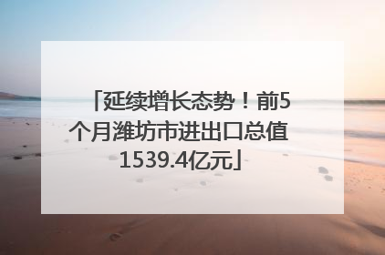 延续增长态势！前5个月潍坊市进出口总值1539.4亿元