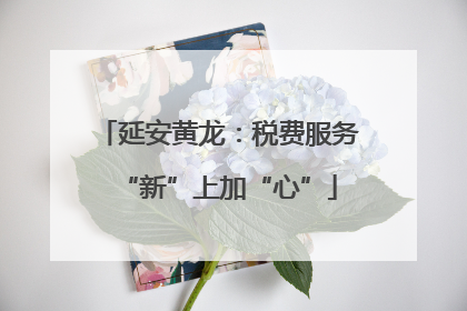 延安黄龙：税费服务“新”上加“心”