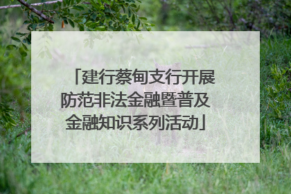 建行蔡甸支行开展防范非法金融暨普及金融知识系列活动