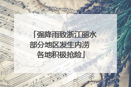 强降雨致浙江丽水部分地区发生内涝 各地积极抢险