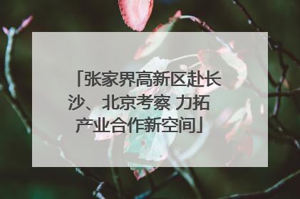 张家界高新区赴长沙、北京考察 力拓产业合作新空间