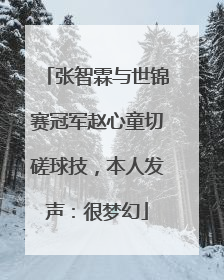 张智霖与世锦赛冠军赵心童切磋球技，本人发声：很梦幻