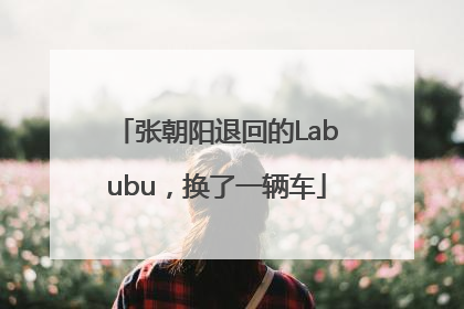张朝阳退回的Labubu，换了一辆车