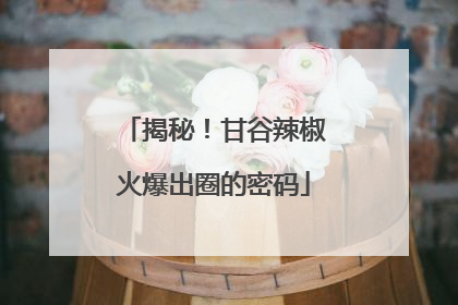 揭秘！甘谷辣椒火爆出圈的密码
