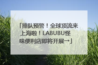 排队预警！全球顶流来上海啦！LABUBU怪味便利店即将开展→