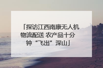 探访江西南康无人机物流配送 农产品十分钟“飞出”深山