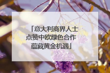 意大利商界人士点赞中欧绿色合作蕴藏黄金机遇