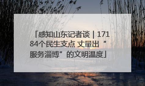 感知山东记者谈｜17184个民生支点 丈量出“服务淄博”的文明温度