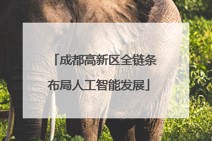 成都高新区全链条布局人工智能发展