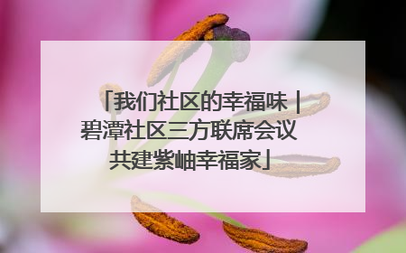 我们社区的幸福味｜碧潭社区三方联席会议共建紫岫幸福家