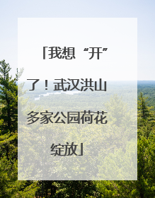 我想“开”了！武汉洪山多家公园荷花绽放