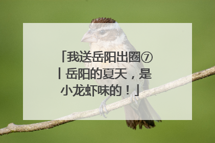 我送岳阳出圈⑦丨岳阳的夏天，是小龙虾味的！