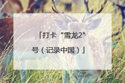 打卡“雪龙2”号（记录中国）