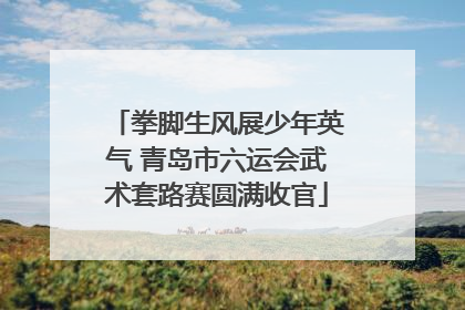 拳脚生风展少年英气 青岛市六运会武术套路赛圆满收官