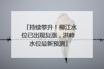 持续攀升！柳江水位已出现复涨，洪峰水位最新预测