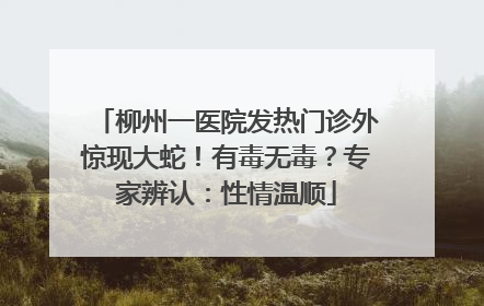 柳州一医院发热门诊外惊现大蛇！有毒无毒？专家辨认：性情温顺