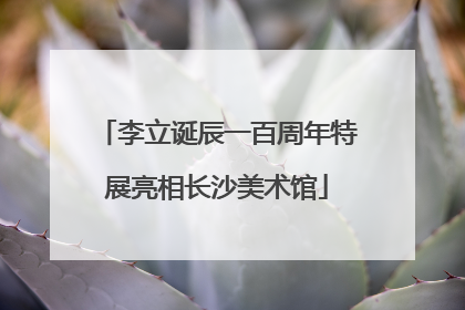 李立诞辰一百周年特展亮相长沙美术馆