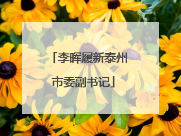 李晖履新泰州市委副书记