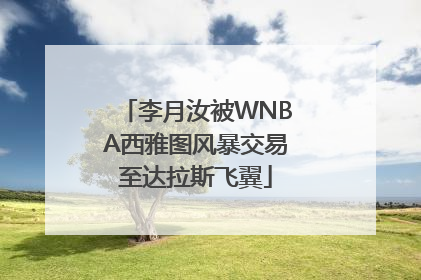 李月汝被WNBA西雅图风暴交易至达拉斯飞翼