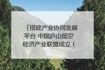 搭建产业协同发展平台 中国庐山低空经济产业联盟成立（组图｜视频）