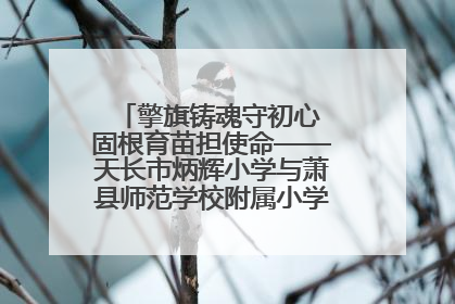 擎旗铸魂守初心 固根育苗担使命——天长市炳辉小学与萧县师范学校附属小学结对共建活动纪实