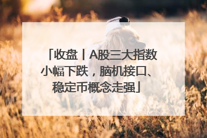 收盘丨A股三大指数小幅下跌，脑机接口、稳定币概念走强