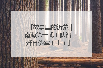 故事里的沂蒙｜南海第一武工队智歼日伪军（上）