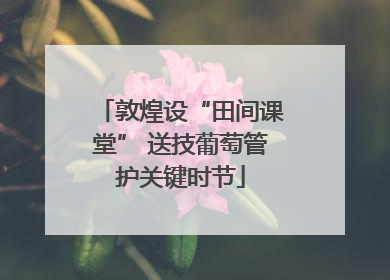 敦煌设“田间课堂” 送技葡萄管护关键时节