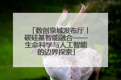 数创泉城发布厅丨碳硅基智能融合——生命科学与人工智能的边界探索