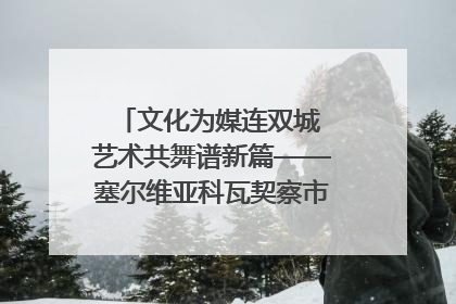 文化为媒连双城 艺术共舞谱新篇——塞尔维亚科瓦契察市代表团访问日照