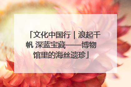 文化中国行｜浪起千帆 深蓝宝藏——博物馆里的海丝遗珍