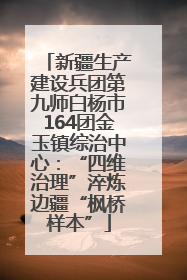 新疆生产建设兵团第九师白杨市164团金玉镇综治中心：“四维治理”淬炼边疆“枫桥样本”