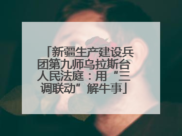 新疆生产建设兵团第九师乌拉斯台人民法庭：用“三调联动”解牛事