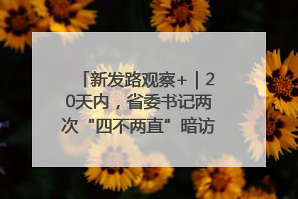 新发路观察+｜20天内，省委书记两次“四不两直”暗访，有何深意？