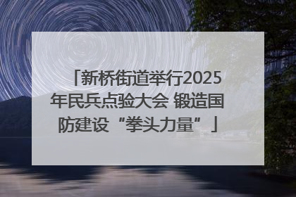 新桥街道举行2025年民兵点验大会 锻造国防建设“拳头力量”