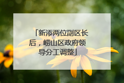 新添两位副区长后，崂山区政府领导分工调整