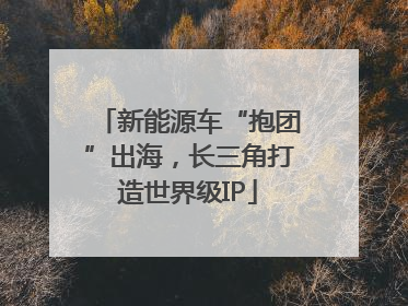 新能源车“抱团”出海，长三角打造世界级IP
