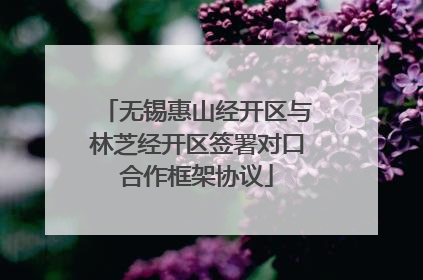 无锡惠山经开区与林芝经开区签署对口合作框架协议