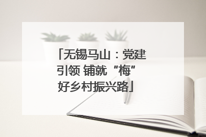 无锡马山：党建引领 铺就“梅”好乡村振兴路