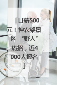 日薪500元！神农架景区 “野人” 热招，近4000人报名