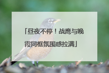 昼夜不停！战鹰与晚霞同框氛围感拉满