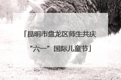 昆明市盘龙区师生共庆“六一”国际儿童节