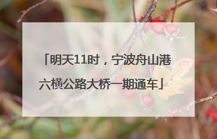 明天11时，宁波舟山港六横公路大桥一期通车