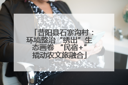 昔阳县石寨沟村：环境整治“绣出”生态画卷 “民宿+”撬动农文旅融合