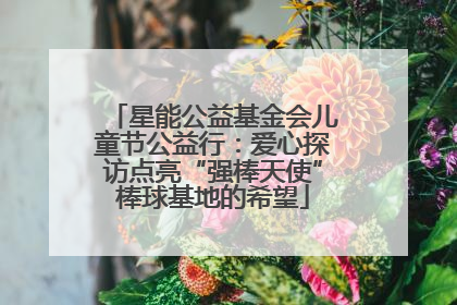 星能公益基金会儿童节公益行：爱心探访点亮“强棒天使”棒球基地的希望