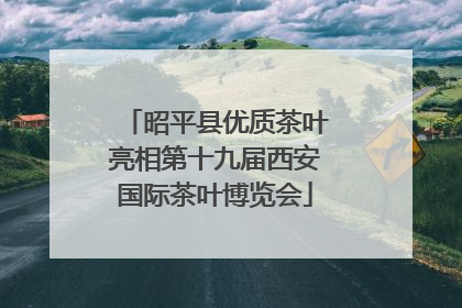 昭平县优质茶叶亮相第十九届西安国际茶叶博览会