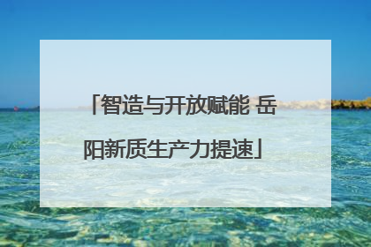 智造与开放赋能 岳阳新质生产力提速