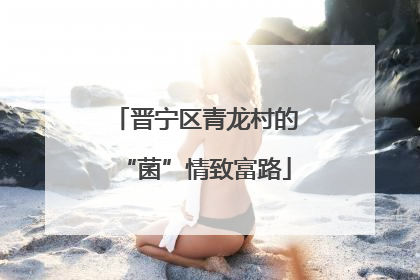 晋宁区青龙村的“菌”情致富路